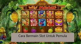 Cara Daftar Slot Untuk Pemula